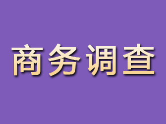 陕西商务调查